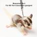 3 Pack Sugar Glider Harness and Lead Set Small Animal Training Walking Vest for Squirrel Hamster Rat (Brown) - Buy Online on SooperMarket.com
