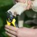 Thunderpaw s Professional Dog Claw Scissors with Safety Lock & Nail File - Medium to Large (Yellow) - Best Pet Nail Clippers for Safety - Buy Online on SooperMarket.com