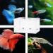 BRYHZKCM 2pcs Fish Hatchery Breeder Box - Large 10x6x6 Nylon Mesh Separation Net with Suction Cup - Buy Online on SooperMarket.com
