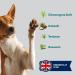 Healthy Dog Co 6-in-1 Natural Dog Shampoo & Conditioner - Odor Control Gentle & Moisturizing for Long Hair - 500ml Puppy Shampoo - Buy Online on SooperMarket.com