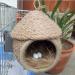 YJJKJ Natural Bird Nesting Material Pads - 40g/1.4oz, Ideal for Nest Building and Hideouts - Buy Online on SooperMarket.com