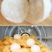 ZYWUOY 6Pcs Wool Dryer Balls Reusable Softener Sheep Organic Fabric Wool Dryer Balls Laundry Dryer Sheets Alternative - Buy Online on SooperMarket.com