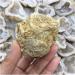 Natural Crystal Rough Natural White Agate Geode Slice Quartz Crystal Cluster MineralsCrystal Home Decoration for Decoration Stone Generator HOMEZHOU 2pcs - Buy Online on SooperMarket.com