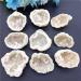 Crystal Stone 1PC Large Natura Stone Crystal Cluster Minerals Specimen Stone Gemstones Presents FUZEGRDLI - Buy Online on SooperMarket.com