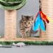 OODOSI Retractable Cat Wand Toy & Refills - Interactive Exercise Toys for Cats & Kittens, Color A - Buy Online on SooperMarket.com