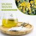 Mullein Leaf Tea - Respiratory and Lung Cleanse Herbal Tea | 40 Tea Bags, Caffeine-Free - Buy Online on SooperMarket.com