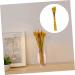 Zerodeko 100pcs Dried Wheat Ears Bouquet Decor Floral Arrangement Wheat Ear Desktop Wheat Ear Dried Flowers Bouquet Wheat Stalks Wedding Wheat Ear Flower Arrangement Dried Flowers. Barley Yellow 52X10CM - Buy Online on SooperMarket.com