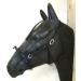 Buy PS Horse French Cavesson Cavecon with D-Rings - Soft Full Brown with Gold Fittings | International Shipping Available - Buy Online on SooperMarket.com