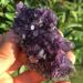 Natural Crystal Rough Natural Amethyst Quartz Crystal Cluster Specimen Healing 80g - Buy Online on SooperMarket.com