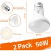 Repti Home 50W Reptile Heating Lamp 2-Pack | Ideal for Bearded Dragons Turtles Snakes & More - International Shipping - Buy Online on SooperMarket.com