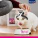 Vita Power Po sie D lice Wet Cat Food with Chicken Fillet - Grain & Sugar-Free for Adults (23x85g) | Premium Nutrition - Buy Online on SooperMarket.com