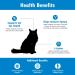 Felisyl L-Lysine Soft Chews for Cats - Immune System Support - Respiratory & Vision Health - 60 Chews - Buy Online on SooperMarket.com