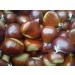 Organic Roasted Chestnut Pouches from Ardeche - Pack of 12, 3.5 oz - Ready-to-Eat Whole Chestnuts from France - Buy Online on SooperMarket.com