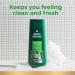 Irish Spring Original Clean Body Wash for Men - 20 Fl Oz (Pack of 2) | Fresh Scent & Long-Lasting Clean - Buy Online on SooperMarket.com