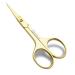 Stelone Professional Grooming Scissors - Eyebrow Scissors - Small Curved Stainless Steel Manicure & Beauty Scissor for Women (Gold)