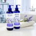 Dr Teal's Lavender Thick & Full Conditioner - Sulfate Free Essential Oil 16 Fl Oz | International Shipping - Buy Online on SooperMarket.com