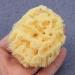GANAZONO Esponja para Ba arse Cleaning Scrubber Shower Accessory Back Scrubber Bath Ball Shower Scrubber Bath Exfoliating Tool Bathroom Shower Ball Sponge Shower Supplies Body Baby - Buy Online on SooperMarket.com