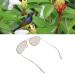 Red Green Color Blind Glasses - Lightweight Golden Frame for Color Weakness Correction | Durable for Men & Women | Indoor & Outdoor Use - Buy Online on SooperMarket.com