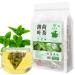 Peppermint Tea Bags 4.4 oz Loose Leaf Spearmint Tea Mint Tea Dried Pepermint Leaves 125g