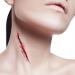 Mehron Stainless Steel Putty Spatula for Special Effects - Perfect for Halloween & Movie Makeup - Buy Online on SooperMarket.com