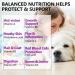 15 in 1 Multivitamin with Glucosamin and Probiotic Soft Chews (2 Packs) for Dogs. Multivitamin for Hip Joint Skin Coat Gut Health and Immune System with Duck Flavour for All Dogs (120 Chews). - Buy Online on SooperMarket.com