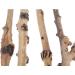 emours Reptile D cor Natural Forest Branch Terrarium Wood Aquarium Ornament 4 Pack - Buy Online on SooperMarket.com
