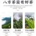 Pu-erh tea 2018 Shangpin 357g Raw - Buy Online on SooperMarket.com