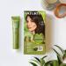 Naturtint Permanent Hair Colour 4N Natural Chestnut - Shop Now for Vibrant and Natural Looking Hair - Buy Online on SooperMarket.com