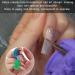 Rotekt 10pcs Nail Extension Fiberglass Tips & 5pcs Nail Art Clamps | International Shipping Available - Buy Online on SooperMarket.com