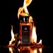 Merve Intense Premium Long Lasting Fragrance Luxury Scent For Men | Citrus Fruity Amber - Buy Online on SooperMarket.com