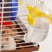 50Ml Pets Hamster Drinking Water Dispenser Small Animal Feeder Bottles Yellow Practical - Buy Online on SooperMarket.com