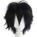 Gairyan Short Black Wig Cosplay Wig Unisex Anime Cosplay Wigs for Women/Men Straight Fluffy Wig Costume Theme Party Fancy Dress Wigs Halloween Wig Comic-Con Costumes Accessories