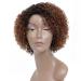 HUA Short Wigs for Black Women Human Hair Ombre Color Kinky Curly Short Brown Wig with bangs Brazilian Colored Curly Human Hair Wig None Lace Front Wigs Glueless WIG ombre brown