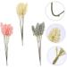 Zerodeko 36 Pcs Artificial Corn Ear Fake Flower Rustic Decor Wheat Ear Crafts Harvest Decoration Wedding Vases Natural Wheat Ear Wheat Ears Flowers Naturales Bride Display Plastic Air Dry Assorted Colorx2pcs 30X1.5CMx2pcs - Buy Online on SooperMarket.com