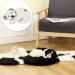 Pet Bed Soft Plush Comfortable 33.9x23.6x1.2in Pet Mattress for Puppy Cats for Four Seasons(Koala Dark Gray) - Buy Online on SooperMarket.com