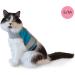 CAT SCHOOL Cat Harness and Leash Set for Outdoor Walks Training and Travel - Secure Soft Comfortable Cat Vest Harness with 10' Long Cat Leash - Easy to Use with Step-by-Step Instructions S/M - Buy Online on SooperMarket.com