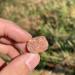 Sunstone Quartz raw Crystals Stone for Home Decoration ZJGIDTEM - Buy Online on SooperMarket.com