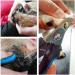 Bairui Dog Nail Clippers - Professional Large Pet Nail Cutters & Files (Blue) | Best Nail Clips for Dogs & Cats - Buy Online on SooperMarket.com