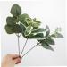 LIFKICH 24pcs Floral Arrangement Decor Artificial Eucalyptus Picks Artificial Eucalyptus Branch Faux Spray Eucalyptus Leaves Stems Greenery Stems Plant Decor Pu Christmas Leaf Branch As Shown 28.00X12.00X8.00CM - Buy Online on SooperMarket.com