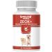 NEW: Helloanimal anti -ticks Press affairs for dogs and cats with immediate effect - natural treatment for your pet - protection of protection