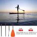 LBW SUP Paddle 3 Piece Stand Up Paddleboard Paddles - Adjustable Double Holes Lock, Sturdy & Ergonomic Design for Surfing Beginners - Orange - Buy Online on SooperMarket.com