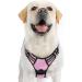 rabbitgoo dog harness medium -sized dogs anti train crockery dog with control no pull adjustable dog harness large dogs breathable reflex stripes breast harness dog safe guidance pink xl (1 Pack) pink