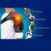Shop Adjustable Heating Shoulder Strap Support - 3 Heat & Vibration Settings for Men & Women | International Shipping Available - Buy Online on SooperMarket.com