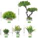 Begondis 25-Piece Plastic Aquarium Plant Tree Set | Artificial Aquatic Plants & Flowers for Fish Tank Decorations - Buy Online on SooperMarket.com