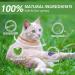 Cat Repellent Treatment Adjustable Cat Repellent Collars Natural Protection Repellent Collar for Cats Water Resistant Repellent Collar for Cats Small-Medium-Large Orange 4pack - Buy Online on SooperMarket.com