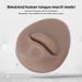 Soft Silicone Mouth Tongue Model for Beauty Salon - Simulated Human Lip Tongue Set for Piercing Practice & Display | Reusable Easy Clean Tools (Type C - Buy Online on SooperMarket.com