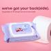 Violet Vibes Moisturizing Flushable Bathroom Wet Wipes for Women - Aloe Coconut Rose - 80 ct Pack - Buy Online on SooperMarket.com