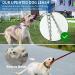 Etechydra Dog Retractable Leash 5m/16ft Gray - Heavy Duty Nylon Tape Leash with Anti-Bite Steel Chain for Medium Large Dogs - Buy Online on SooperMarket.com