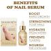 NailGrowth DeepHealing Organic Serum NailGrowth Nail Serum Reconstrux Nail Growth Nail Growth and Strengthening Serum Nail Serum for Growth and Repair for Damaged Nails (3pcs) - Buy Online on SooperMarket.com