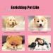 Smandy Dog Door Bell - Training Bells for Pets | Pink Dog Communication & Cleanliness Training - Buy Online on SooperMarket.com